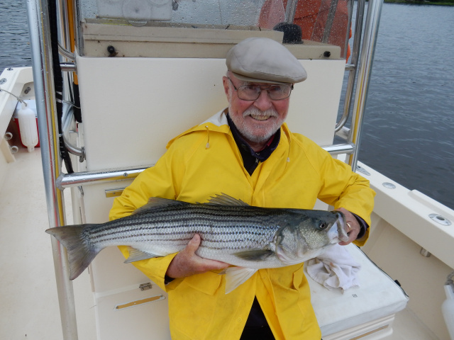 Paul's Newburport Striper